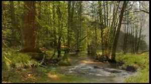 Молитва во имя Иисуса (аудиокнига)