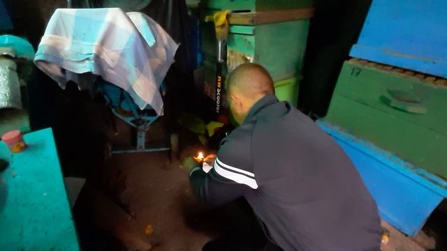 ОБРАБОТКА ОТ МОЛИ И ГРЫЗУНОВ В ЗИМУ смотреть онлайн