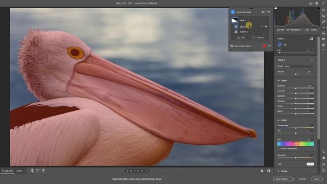 115 - 5 Minute Video - Camera Raw - Magnificent 2023 Masks смотреть онлайн