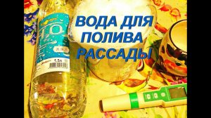 ВАЖНО - ЛУЧШАЯ ВОДА ДЛЯ ПОЛИВА РАССАДЫ