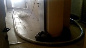 гигантская зловещая змея в многоэтажном доме