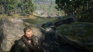 Красный кардинал (red cardinal) Red Dead Redemption 2