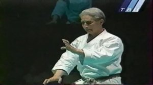 Хидетака Нишияма, Ката Хангетсу, Бункай