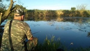 Ловля-карася-на-опарыша.mp4