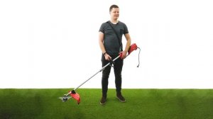 Триммер электрический Wortex TE 3813 S