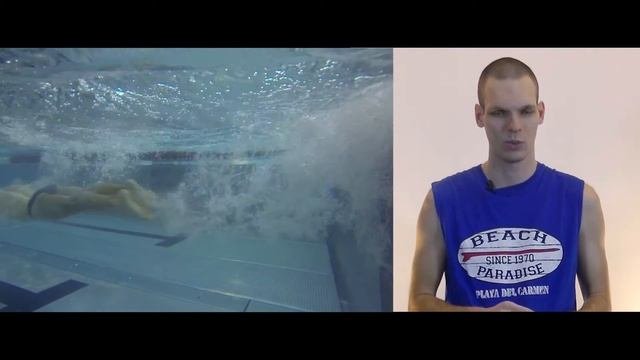 Какие элементы плавания производят наибольший эффект на окружающих. Школа плавания 