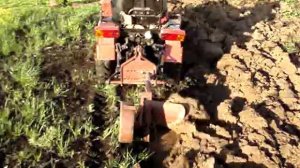 Посадка и посев газона на дачном участке. Перепашка