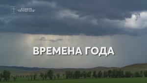 Времена года
