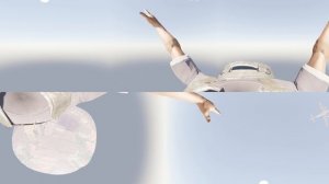 ?Skydiving 360° - VR Video