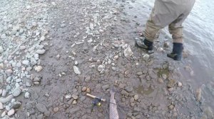 Рыбалка на Форель в Кыргызстане 2020 году. Trout fishing in Kyrgyzstan. Рыбалка в Кыргызстане.