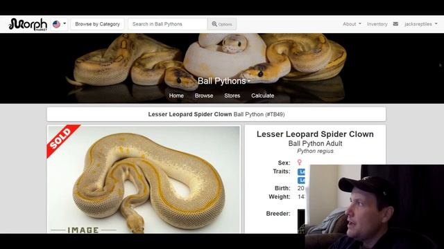 Image Reptiles Ball Python Morph Combos | Breeder's Spotlight | Jack's Reptiles