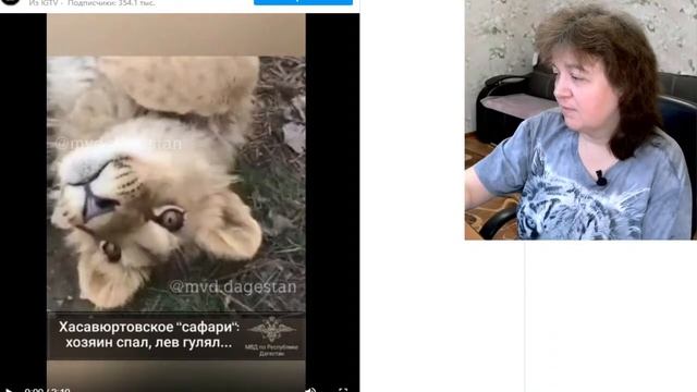 Стрим 30 января: предложения усиления ответственности от Бурматова. Витю купили. смотреть онлайн