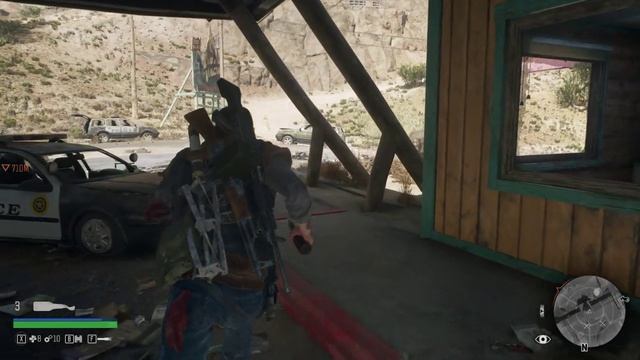 Days Gone 13