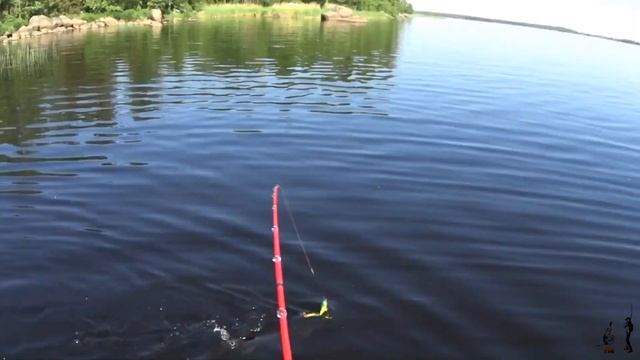 Уловистая Приманка из силикона своими руками . Sudak Shad приманка для щуки . смотреть онлайн