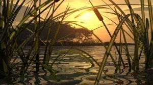 Камыши,Константин Бальмонт , Русская Поэзия   ,читает Павел Беседин