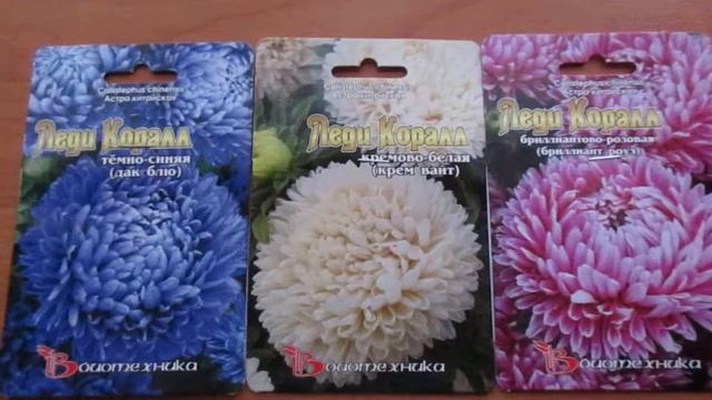 красавица астра смотреть онлайн