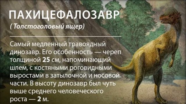 ИНТЕРЕСНЫЕ ФАКТЫ О ДИНОЗАВРАХ!