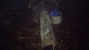 Лиса и удивительная находка.mp4