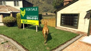 пейот в GTA 5 Превращение в животных