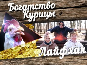 Богатство Курицы: Лайфхак. Зачем лохматить бабушку