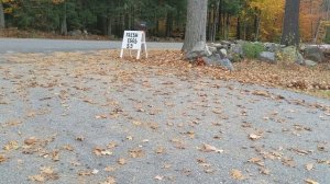 Ryobi ONE+ 18V Leaf Blower Review