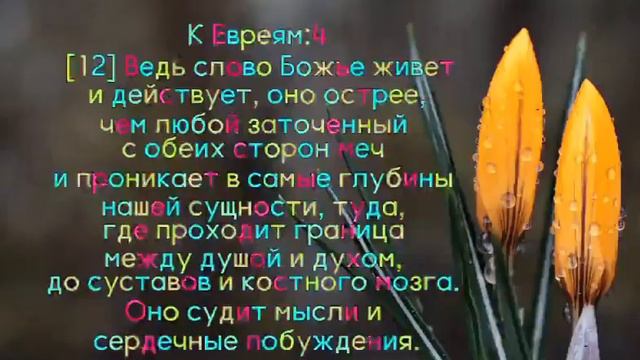 СЛОВОБОЖЬЕ| Слово Божье ЖИВЁТ и ДЕЙСТВУЕТ
