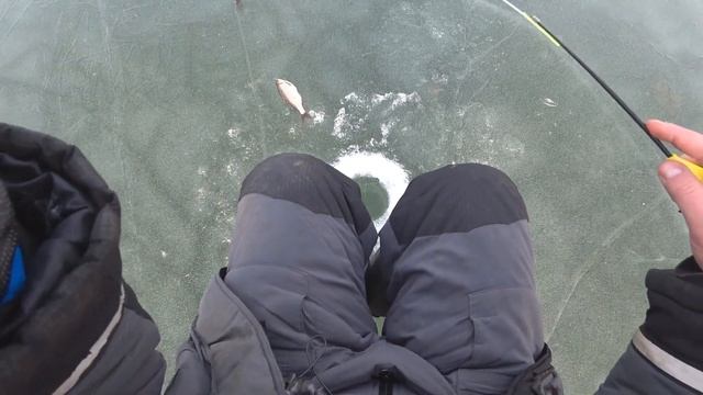 ЗДОРОВЕННЫЕ ЩУКИ АЖ ЛЕСКА ТРЕЩИТ!!!! Давно я таких не ловил! Зимняя РЫБАЛКА на ЖЕРЛИЦЫ. смотреть онлайн