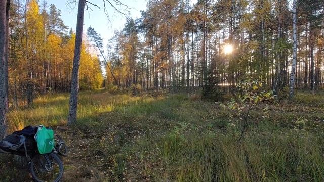 Озеро Большое Зеленодольское и вдали Озеро Малое Зеленодольское. Полигон Каменка. Заходское. смотреть онлайн