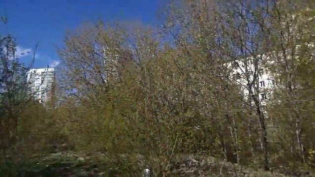 Погода в мае 2016 Екатеринбург смотреть онлайн