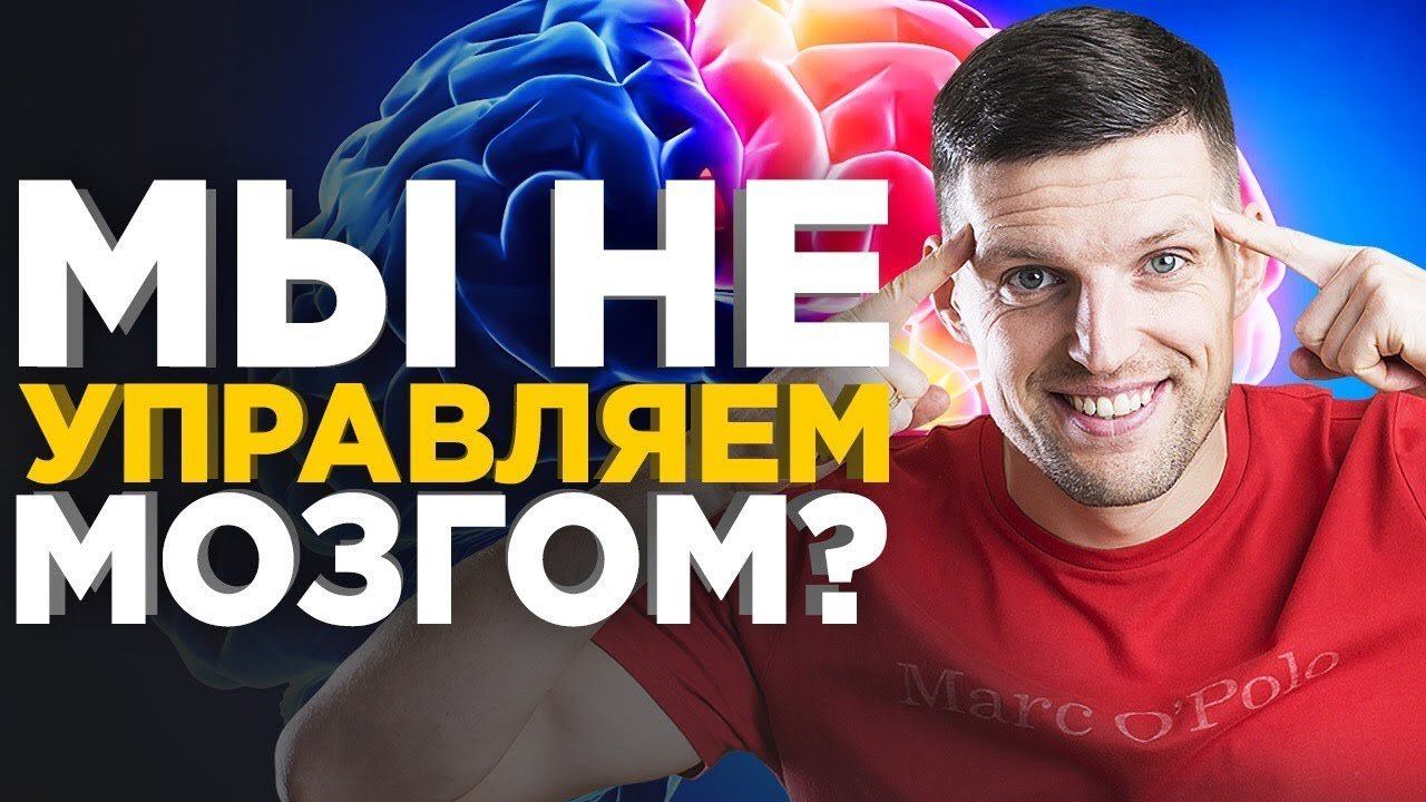 Мы - это не наш мозг? Что из себя представляет мозг человека на самом деле?