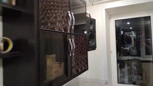 Denon DL-103 LC-II working video s/n 7208 -=!Watch in 720P!=-