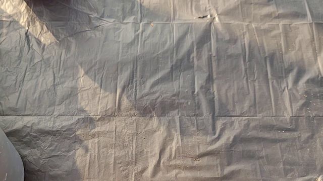 Infaltables del jardín - Aceptamos el reto 3x3 de @vamosajardinearconjuan482 смотреть онлайн