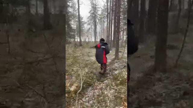 глухие леса Карелии
