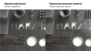 Лайфхак: Как читать тест HARZ Labs с Павлом Курдюмовым