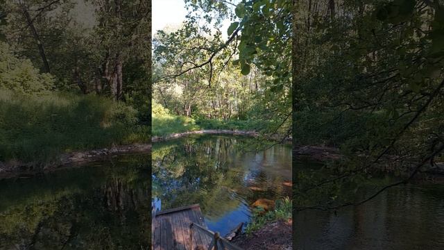 Lake of the silver spring / village of Tugustemir, Tyulgansky district, Orenburg region #holyspring