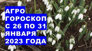 Агрогороскоп с 26 по 30 января 2023 года. Агрогороскоп з 26 по 31 січня 2023 року