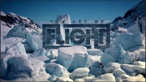 The Art Of Flight 2011