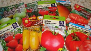 СПИСОК  УРОЖАЙНЫХ ТОМАТОВ ДЛЯ ОТКРЫТОГО ГРУНТА