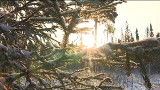 Ӵукна иворъёс 13-тӥ толсур 2016-тӥ ар смотреть онлайн