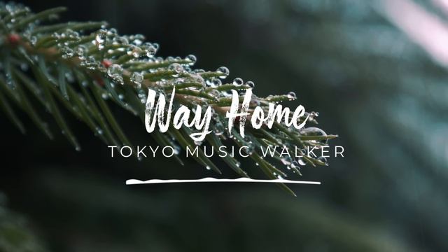 🍂 [Copyright Free Chill Background Music] - "Way Home" by @tokyomusicwalker4038   🇯🇵