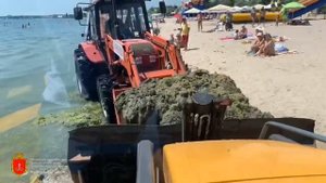 Очистка территории пляжа "Лузановка" от водорослей