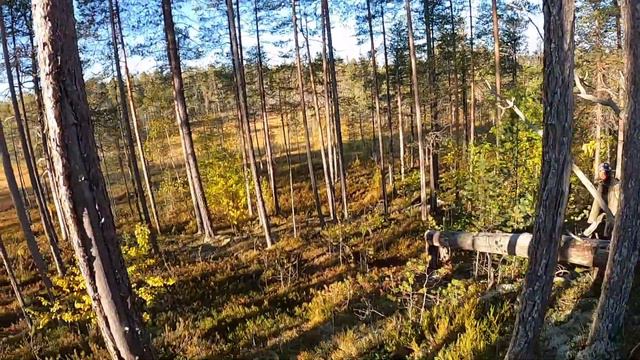Золотая Карельская осень. Рыбалка.Охота.