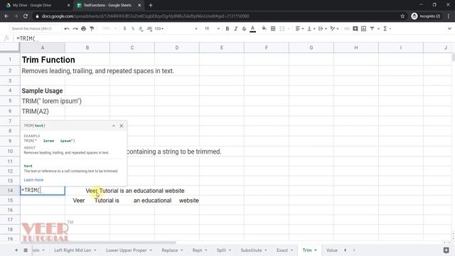 3.14 GoogleSheets Tutorial | Trim Function in Googlesheets | Remove Trailing extra space
