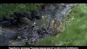 Видеоролик Родники России, 20". 2013 г