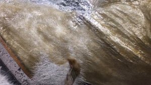 Изготовление объемной фигуры из стеклопластика. Голова динозавра