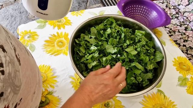 Ух ты !! ..и снова Пирожки  со щавелем  и яблоками!