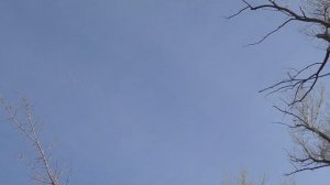 река Сакмара в Апреле. Ледоход.