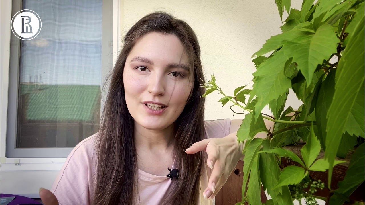 Финансовый блогер Ольга Сабитова - выпускница магистерской программы «Финансы»