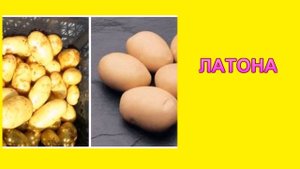 ГОЛЛАНДСКИЙ КАРТОФЕЛЬ: 5 САМЫХ УРОЖАЙНЫХ СОРТОВ