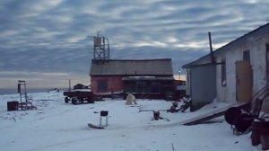 Охота на Белого Медведя